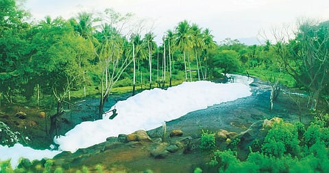 The picturesque location, which resembles that of a pristine snowy landscape, is actually Byramangala lake filled with froth | Pandarinath B