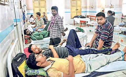 Dengue spreads as Andhra Pradesh loses war on mosquitoes