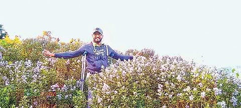 When his dreams bloomed along with neelakurinji