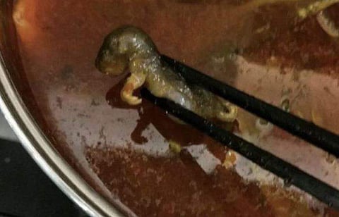 A dead rat found  in soup served by popular Chinese restaurant Xiabu Xiabu. (Photo | Weibo)