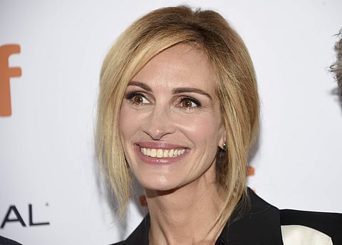 Julia Roberts hits back at troll