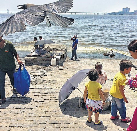 The 7*7 inch square book The Red Cat and Other Stories is a representation of Mumbai is which made up of seven islands