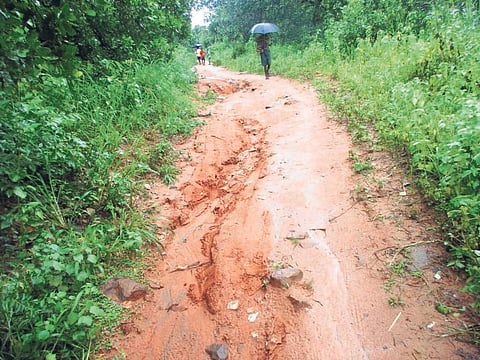 The 1.5 km kutcha road from Subarnamanjaripur to Madhabpur SabarSahi | Express