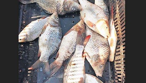 Image for representational purpose only.