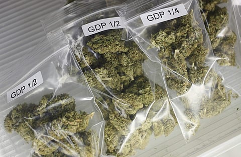 Image of ganja used for representational purpose. (File Photo)