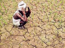 Image used for representational purposes (File | EPS)