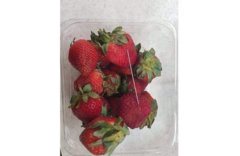 An undated handout photo made available by the Queensland Police shows a thin piece of metal seen among a basket of strawberries in Gladstone, Queensland, Australia. (Photo | AFP)