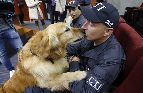 Fourteen police dogs received medals and diplomas during an emotional retirement ceremony in Colombia's capital as the furry heroes wrapped up years of service sniffing out drugs, bombs and bodies. (Photo | AP)