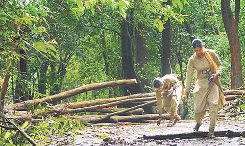 2 women employees of forest dept make a sweeping statement by picking up plastic waste
