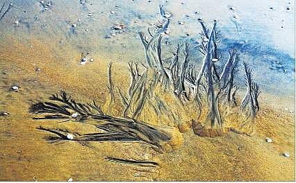 Captured moments to rebuild Kerala