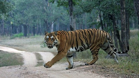 Image used for representation purposes only.