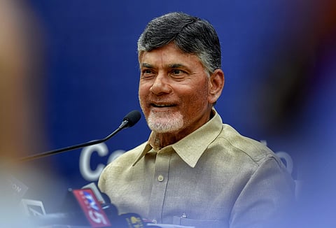 Andhra Pradesh CM Chandrababu Naidu. | (File | PTI)