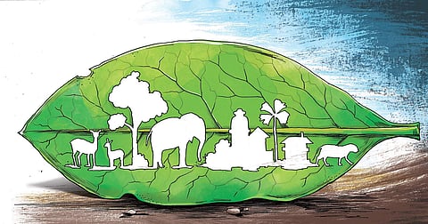 Sacralising the Cosmos, Nature and Life