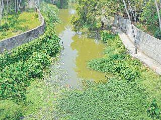 Killiyar river at Maruthamkuzhi stretch  B P Deepu