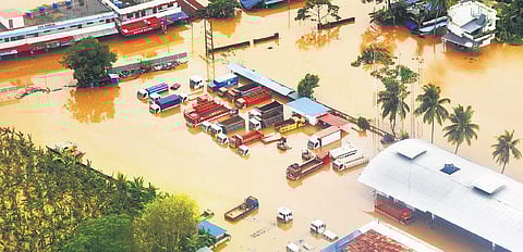 Trucks and godowns submerged in the recent floods in Kochi | fiLe pic