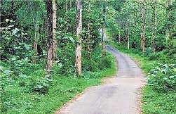 Image for representational purpose only.