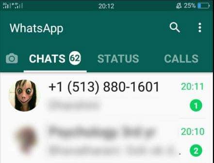 Screengrab of the unknown number from where the Momo challenge message was received.