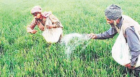 Fertiliser sector counts losses as floods erase subsidy trail 