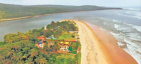 The famous Deobag beach in Sindhudurg district.