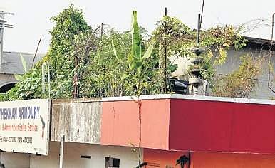 Expert Subhash Palekar questions push for Israel farming model