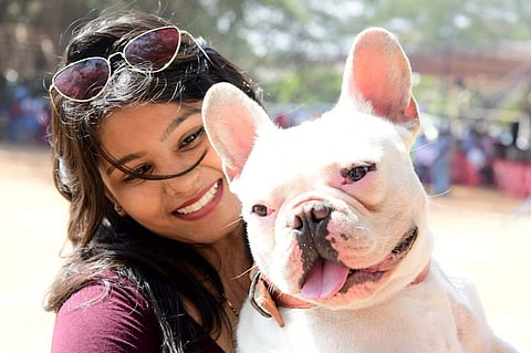 Dogs of different breeds from across the country attended the national level dog show in Mysore on Sunday. (EPS | Udayshankar S)
