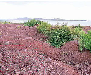 Image of stacked iron ore used for representational purpose.