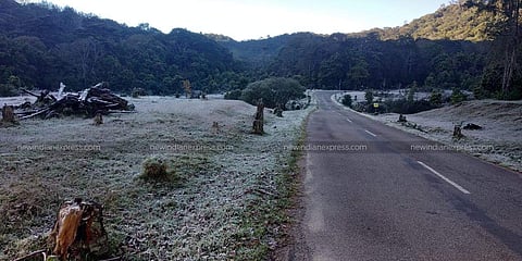 File Photo of Kerala's Munnar. | Express Photo Services