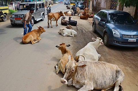 Image used for representational purpose only (File photo | EPS)