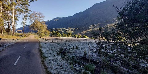 Munnar shivers at -3 degree celsius, hills blanketed with thick frost