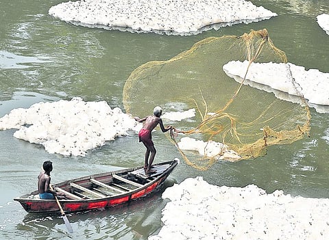 Fishermen fish in the Yamuna covered in froth caused by untreated industrial waste dumped in the river. | ( Photo | Parveen Negi )