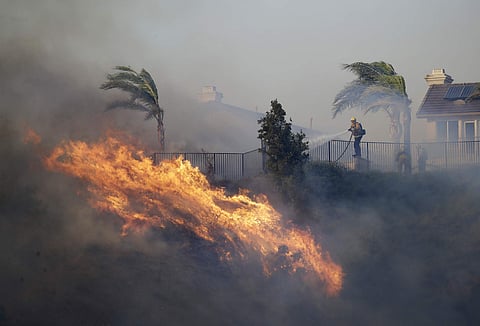 A firefighter sprays water in front of an advancing wildfire Friday. (Photo| AP)