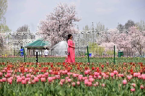 Image of tourists in J&K used for representational purpose (File |  Zahoor Punjabi, EPS)