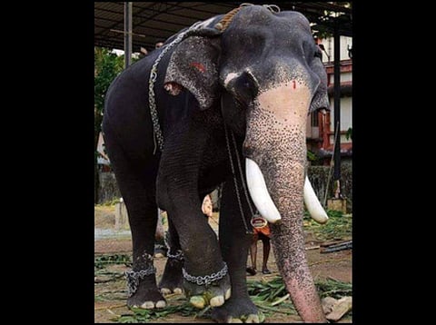 Paramekkavu Rajendran. (Photo| EPS)