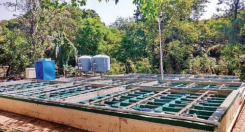 Tiger bio-filter STP works on simple concept of vermifiltration