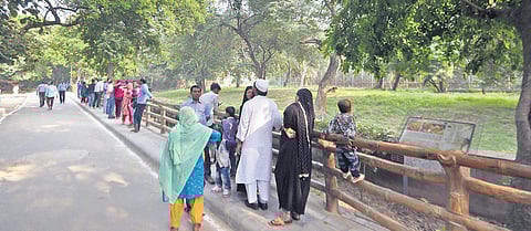 Curious visitors at the lion enclosure in Delhi Zoo, where a youth had entered earlier in the day. This is not the first such case to happen in this zoo. (Photo| EPS, Shekhar yadav)