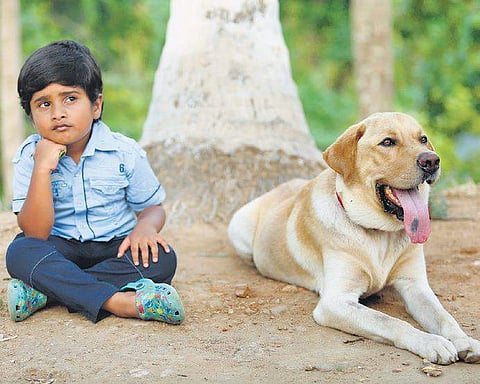 Still from movie Bow Bow.