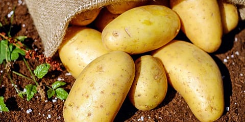 For representational purposes