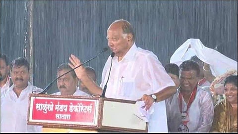Sharad Pawar addressed a public rally in Satara amidst heavy rains (Photo | NCP Twitter)