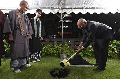 President Kovind visited the Tsukiji Hongwanji Buddhist Temple in Tokyo and planted a bodhi sapling he carried from India. (Photo | Twitter)
