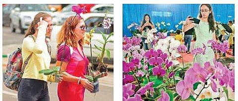 Visitors learnt various aspects of growing orchids at the show  Shriram B N