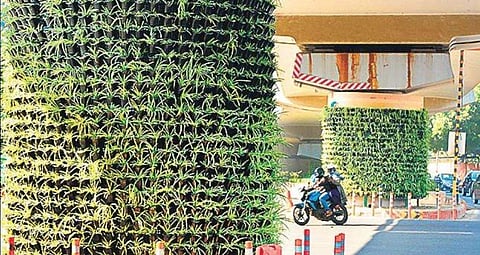 Picture for representation|EPS