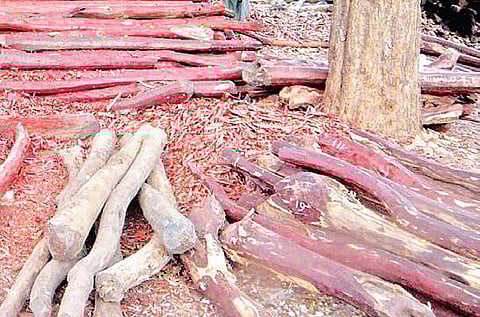 Picture for representational purpose