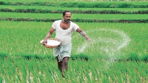 Stocks are being supplied based on crop requirements through Rythu Seva Kendras, Primary Agricultural Cooperative Societies, and District Cooperative Marketing Societies. 