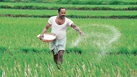 The Union government has said that five FIRs have been registered in Karnataka this year in connection with the sale of allegedly fake and substandard fertilisers.