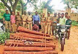 Red sanders seized by RSASTF (Photo |EPS)