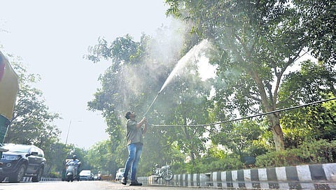 A MCD worker sprays water on trees to curb air pollution by combating accumulated dust in New Delhi on Friday | shekhar yadav