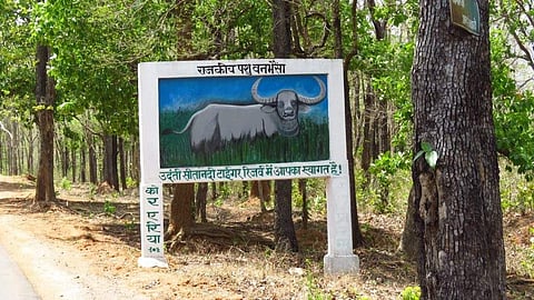 The Udanti-Sitanadi Tiger Reserve