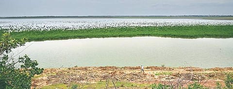 Ambattur doesn’t get piped water supply  since January | P. JAWAHAR