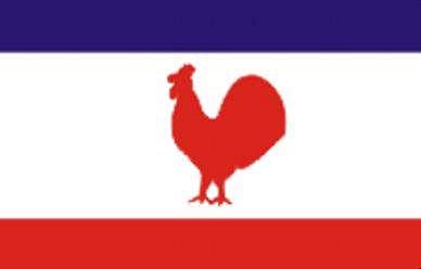 Naga People's Front flag