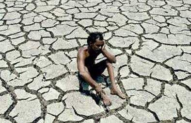 49 taluks in Karnataka declared drought-hit